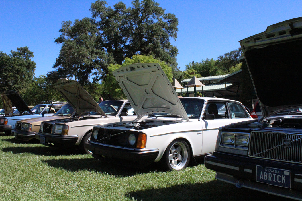 Several Volvo 240 cars are shown lined up at a car show, with their hoods up.